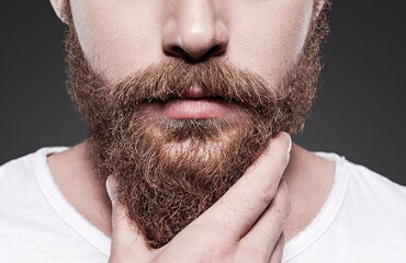 Greffe barbe